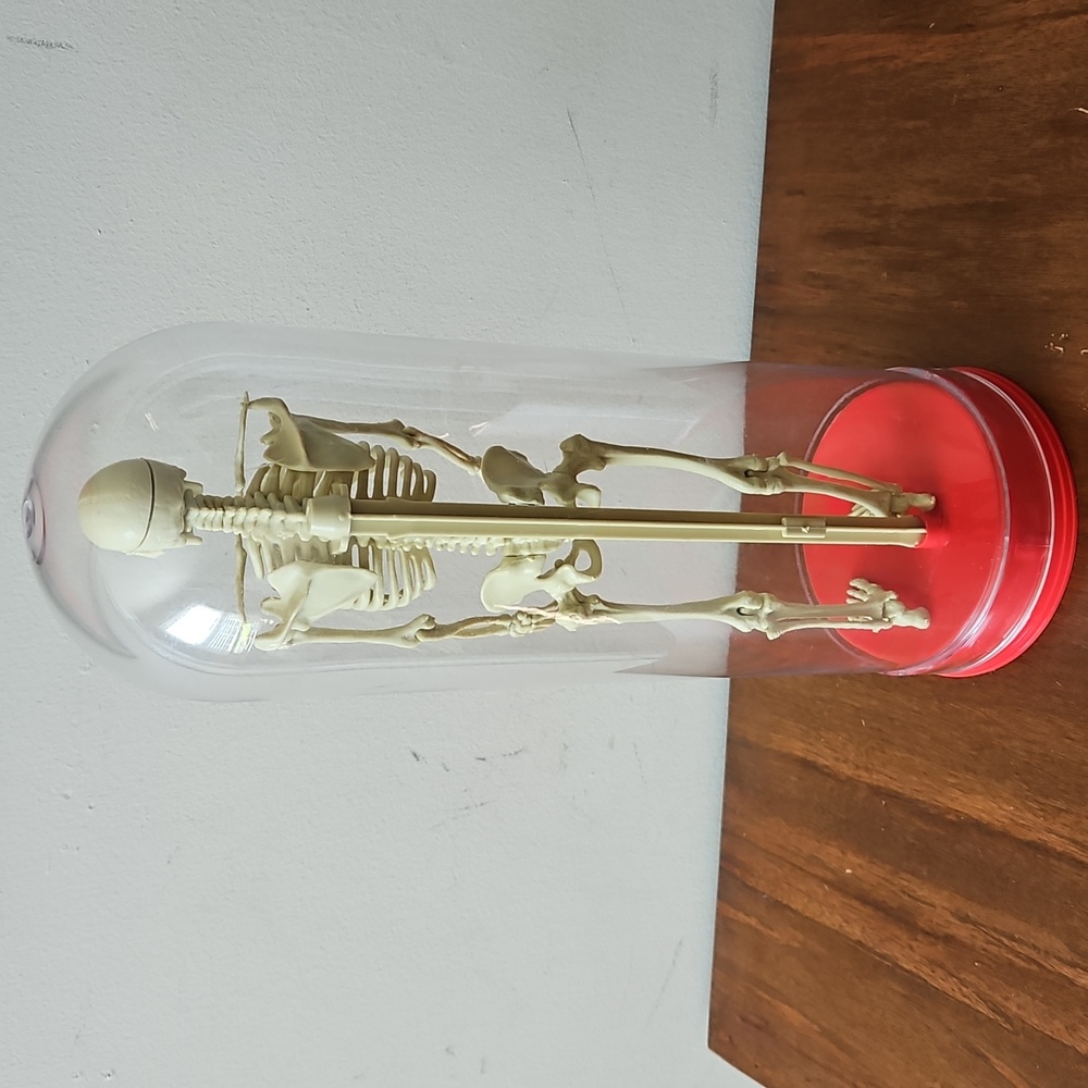 Vintage 1991 Workman Publishing Human Skeleton - Picture 2 of 8